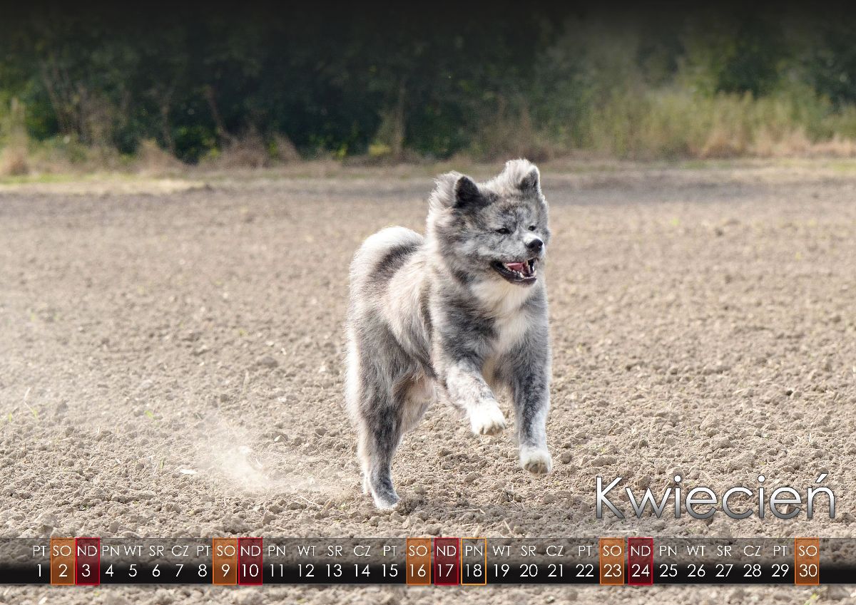 04 Kwiecien2022 copy